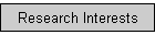Research Interests